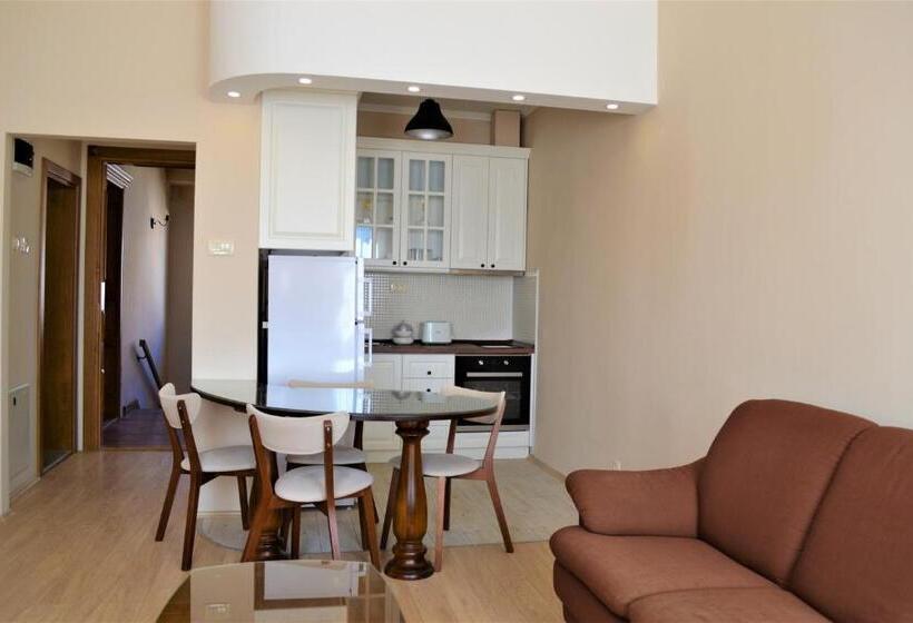 آپارتمان 1 خوابه, Chola Guest House