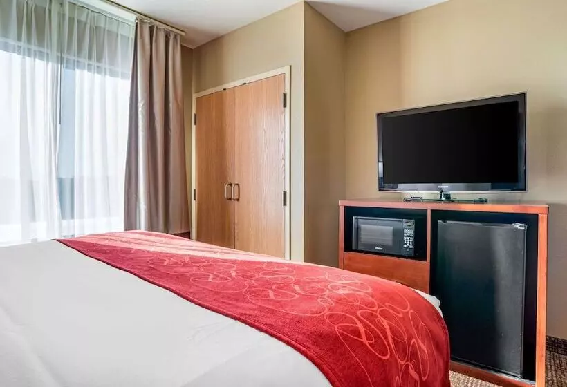 身障者適用スイートルーム, Comfort Suites