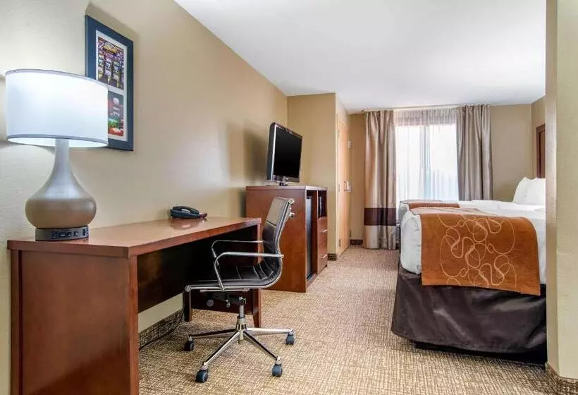 身障者適用スタンダードルーム, Comfort Suites