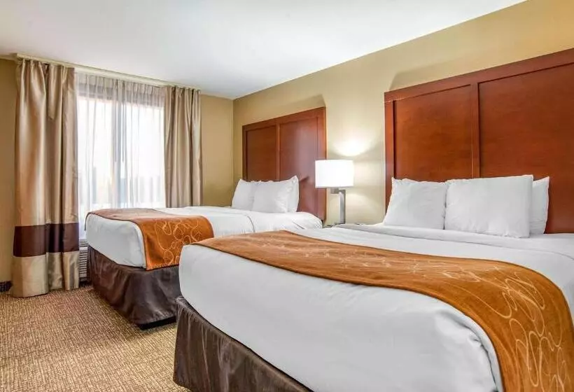 身障者適用スタンダードルーム, Comfort Suites