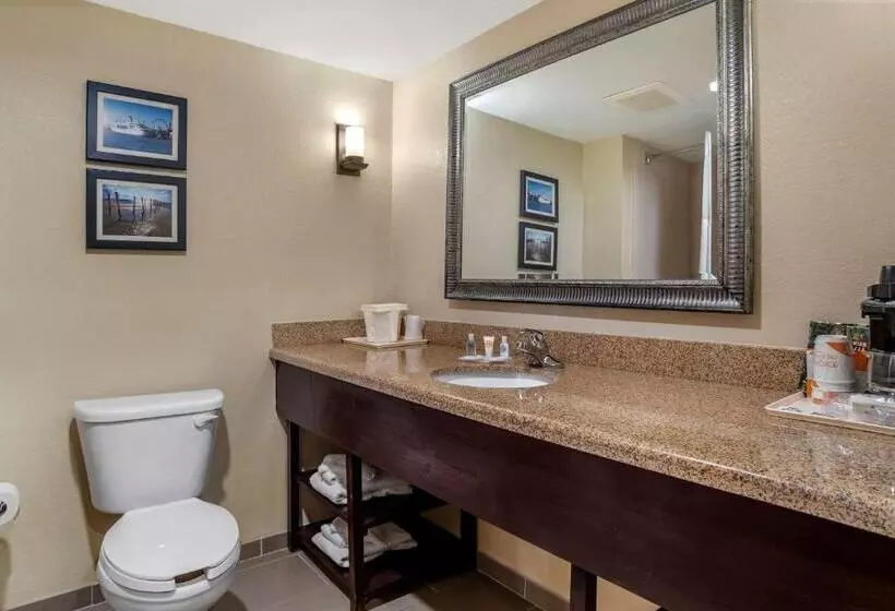 キングサイズベッドのスイートルーム, Comfort Suites
