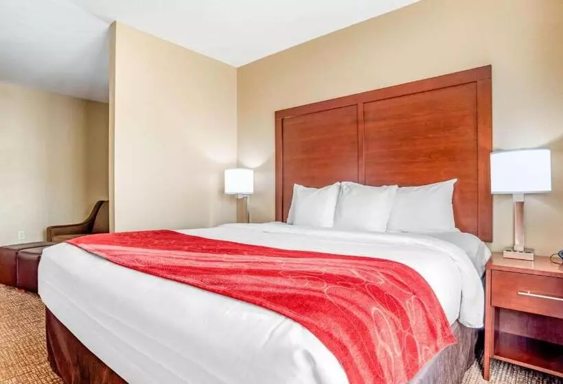 キングサイズベッドのスイートルーム, Comfort Suites