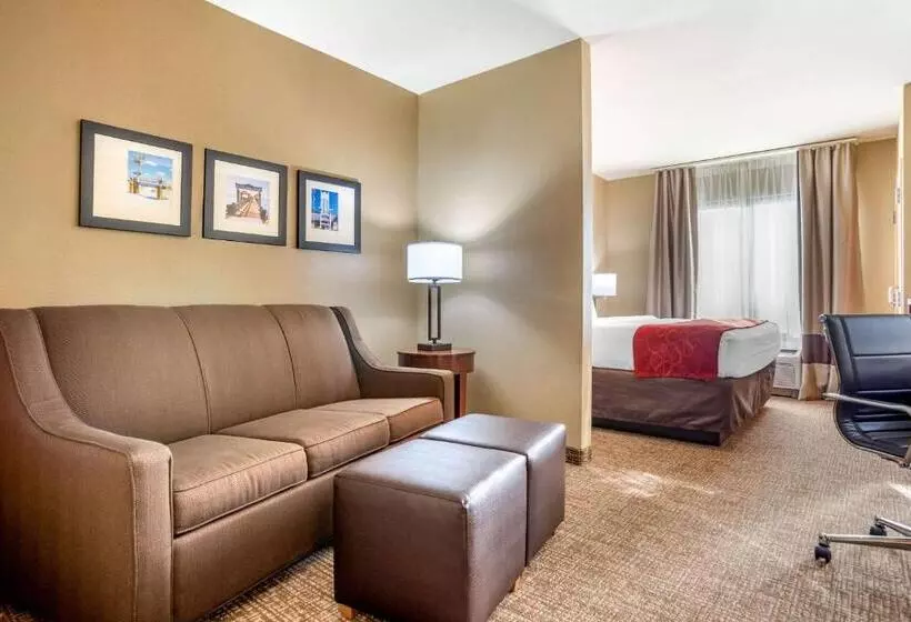 キングサイズベッドのスイートルーム, Comfort Suites