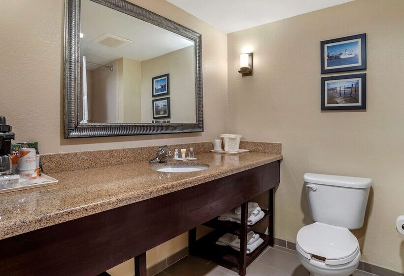 Люкс Адаптированный для Инвалидов, Comfort Suites