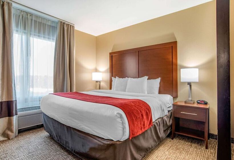 Люкс Адаптированный для Инвалидов, Comfort Suites