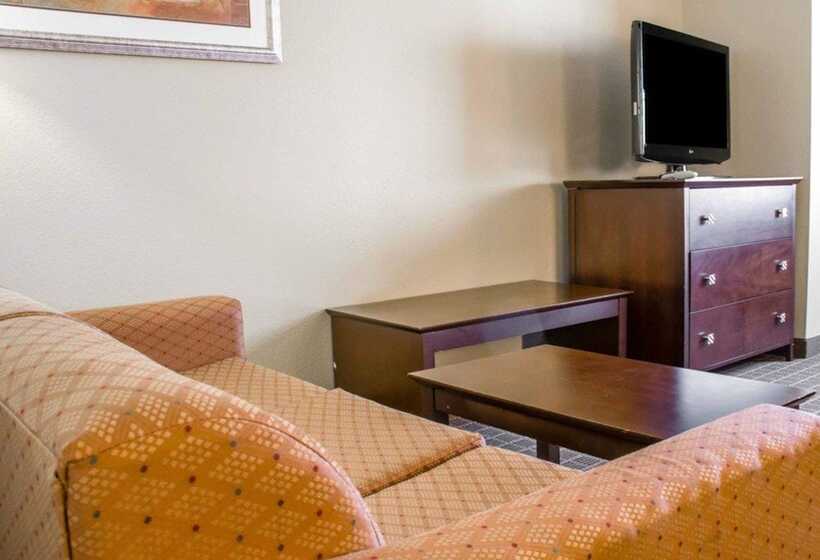 스위트, Comfort Suites Huntsville Midcity District At Research Park