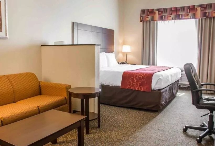 سوئیت برای معلولان, Comfort Suites Huntsville Midcity District At Research Park