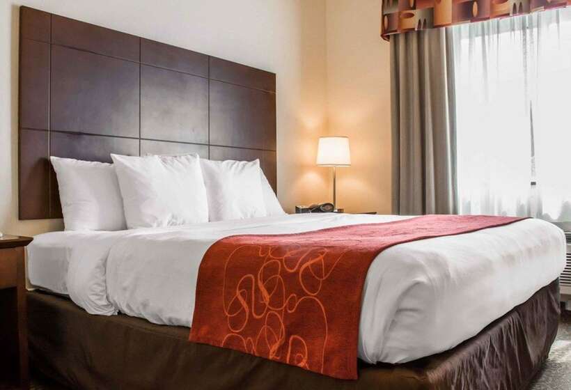장애인을 위한 스위트, Comfort Suites Huntsville Midcity District At Research Park