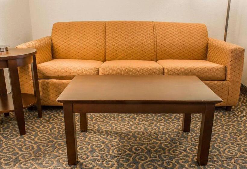 套房, Comfort Suites Huntsville Midcity District At Research Park