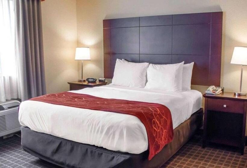 带大床的套房, Comfort Suites Huntsville Midcity District At Research Park