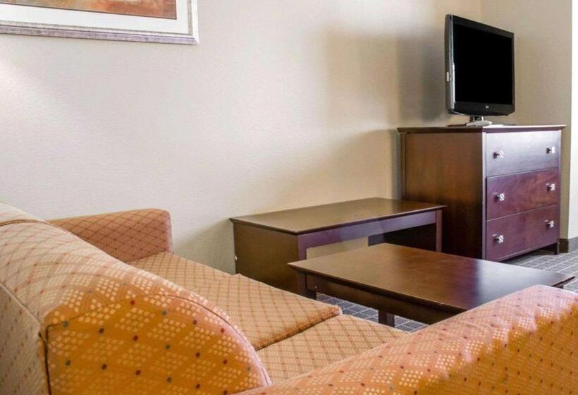 스위트 킹사이즈 침대, Comfort Suites Huntsville Midcity District At Research Park
