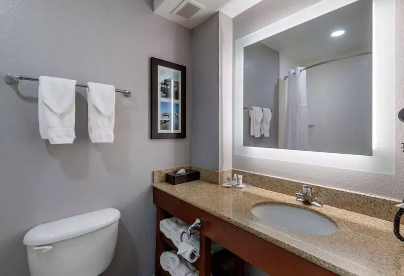 身障者適用スイートルーム, Comfort Suites Near Birkdale Villagehuntersville
