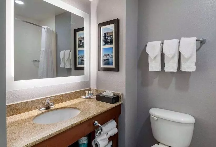 身障者適用スイートルーム, Comfort Suites Near Birkdale Villagehuntersville