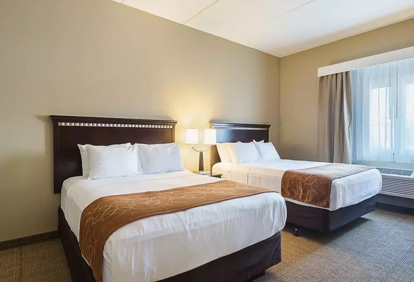 スイート, Comfort Suites Beachside