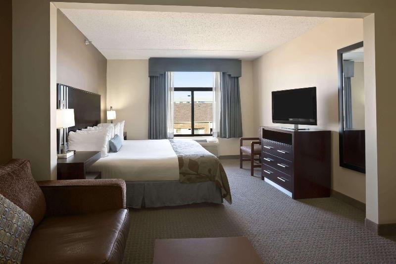 带大床的标准间, Holiday Inn Express Hotel & Suites Brownfield By Ihg