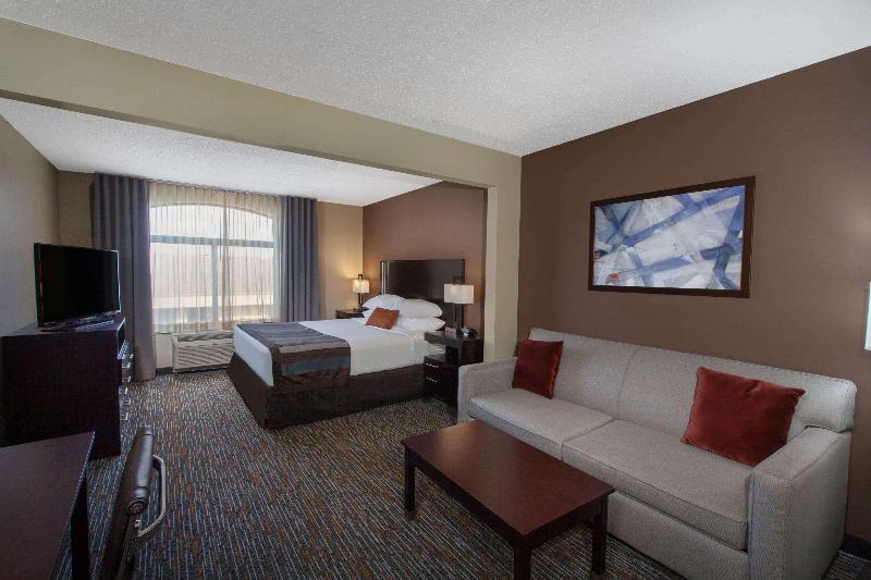 스탠다드 룸 킹사이즈 침대, Holiday Inn Express Hotel & Suites Brownfield By Ihg