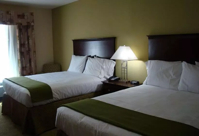 Sviitti, Holiday Inn Express Hotel & Suites Brownfield By Ihg