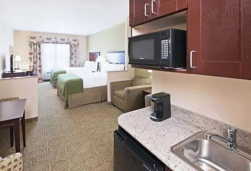 Sviitti, Holiday Inn Express Hotel & Suites Brownfield By Ihg