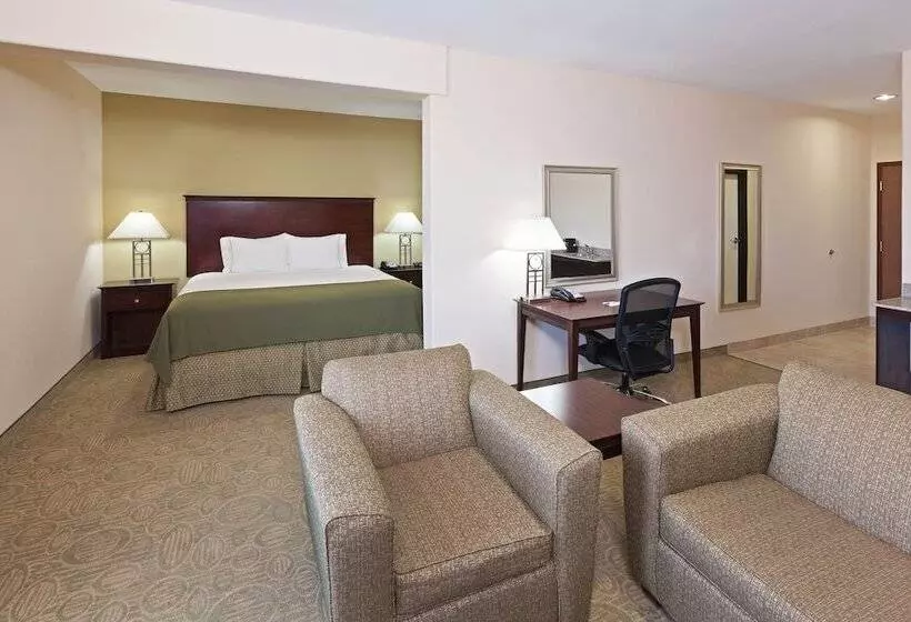 Sviitti, Holiday Inn Express Hotel & Suites Brownfield By Ihg