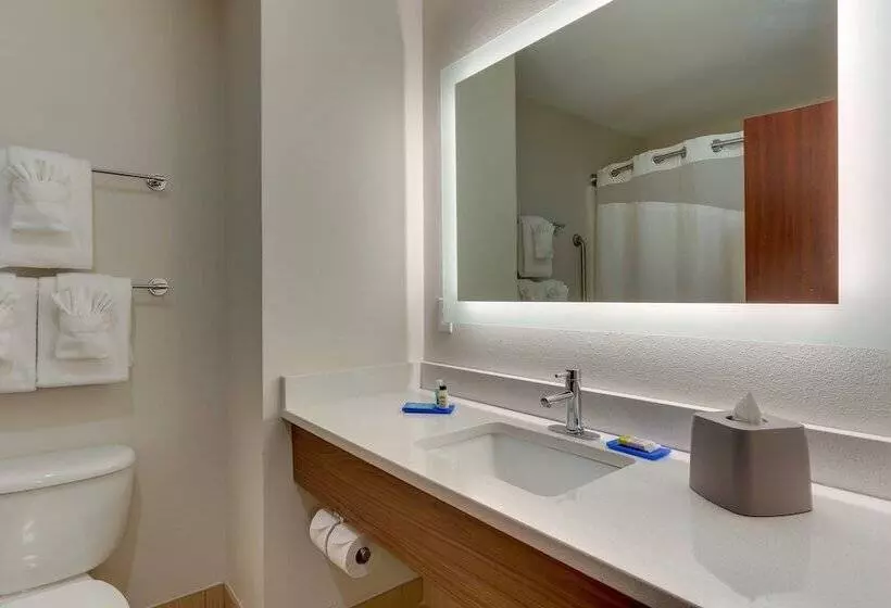 Sviitti, Holiday Inn Express Hotel & Suites Dayton Centerville, An Ihg