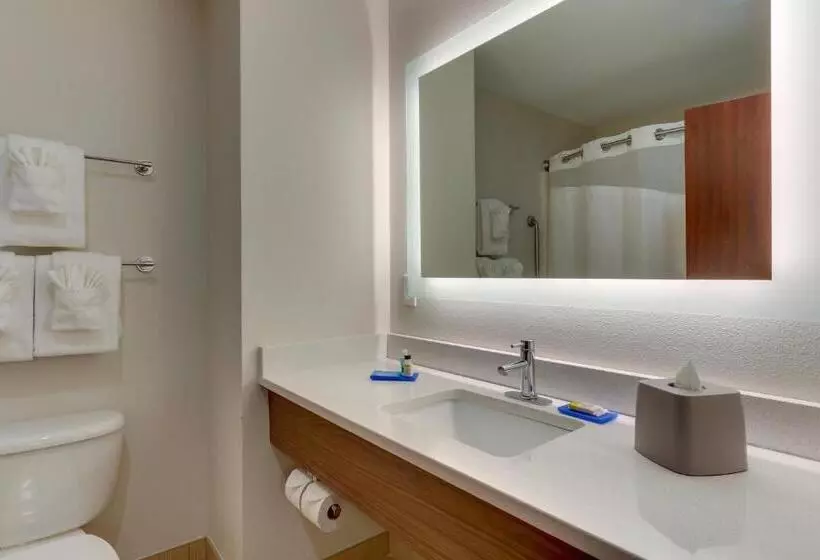 Sviitti King-vuode, Holiday Inn Express Hotel & Suites Dayton Centerville, An Ihg
