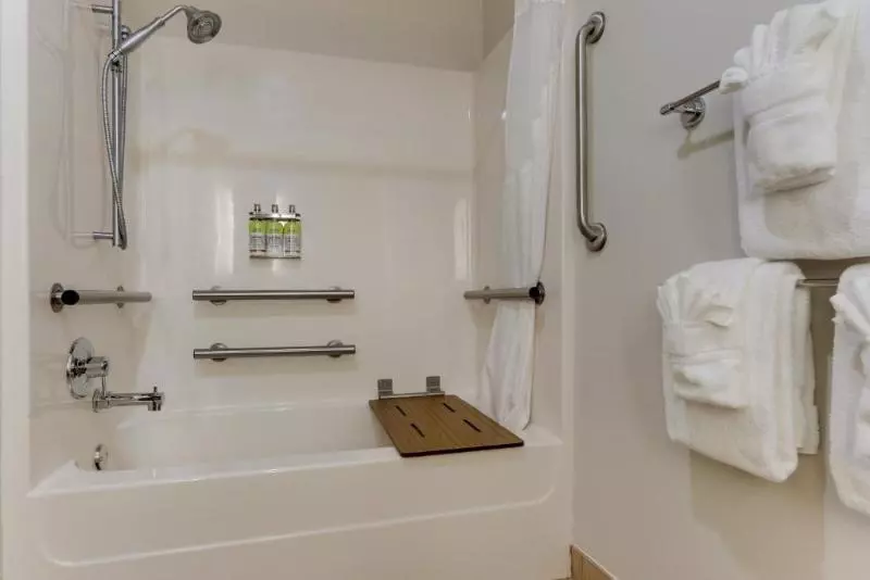 Standard-invahuone King-vuode, Holiday Inn Express Hotel & Suites Dayton Centerville, An Ihg