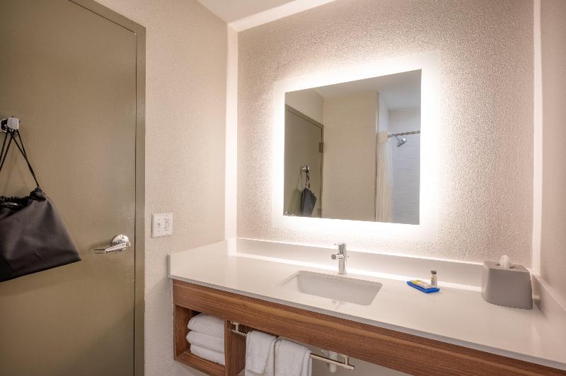 Стандартный Номер Кровать Кинг, Holiday Inn Express Hotel & Suites Greenville, An Ihg