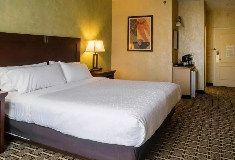キングサイズベッドのスタンダードルーム, Holiday Inn Express Hotel & Suites Youngstown North Warren/niles, An Ihg