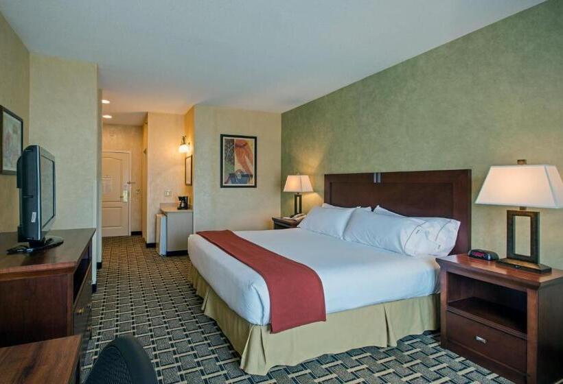 غرفة قياسية سرير كينج, Holiday Inn Express Hotel & Suites Youngstown North Warren/niles, An Ihg