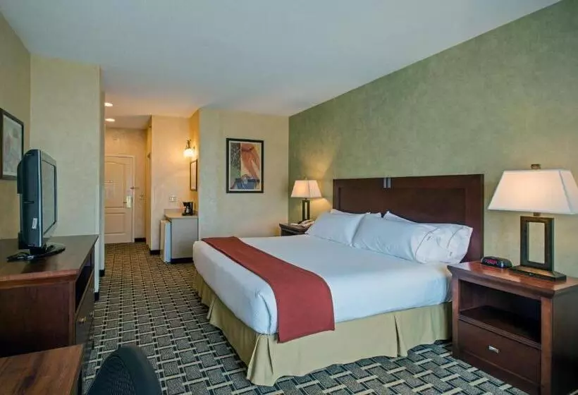 キングサイズベッドのスタンダードルーム, Holiday Inn Express Hotel & Suites Youngstown North Warren/niles, An Ihg
