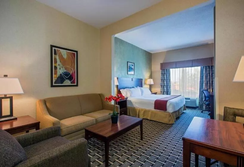 キングサイズベッドのスイートルーム, Holiday Inn Express Hotel & Suites Youngstown North Warren/niles, An Ihg