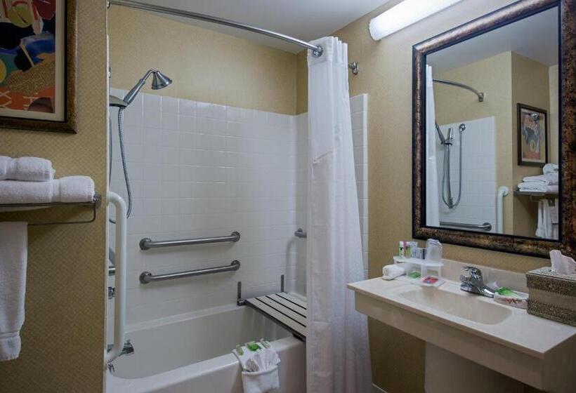 Номер Стандарт Адаптированный для Инвалидов, Holiday Inn Express Hotel & Suites Youngstown North Warren/niles, An Ihg
