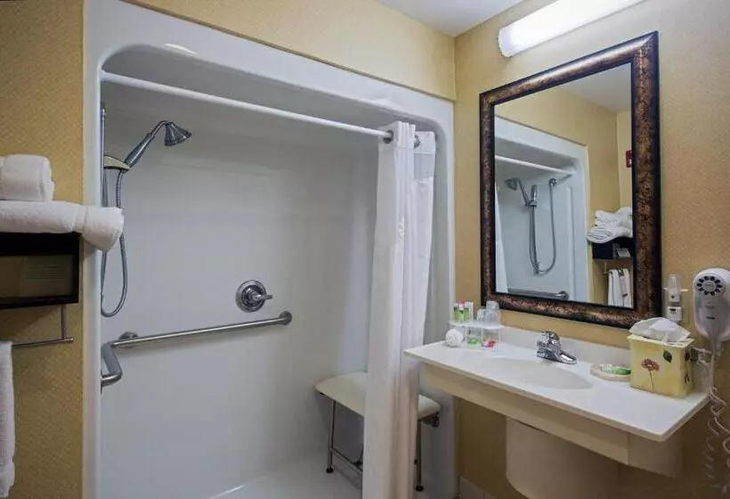 身障者適用キングサイズベッドルーム, Holiday Inn Express Hotel & Suites Youngstown North Warren/niles, An Ihg