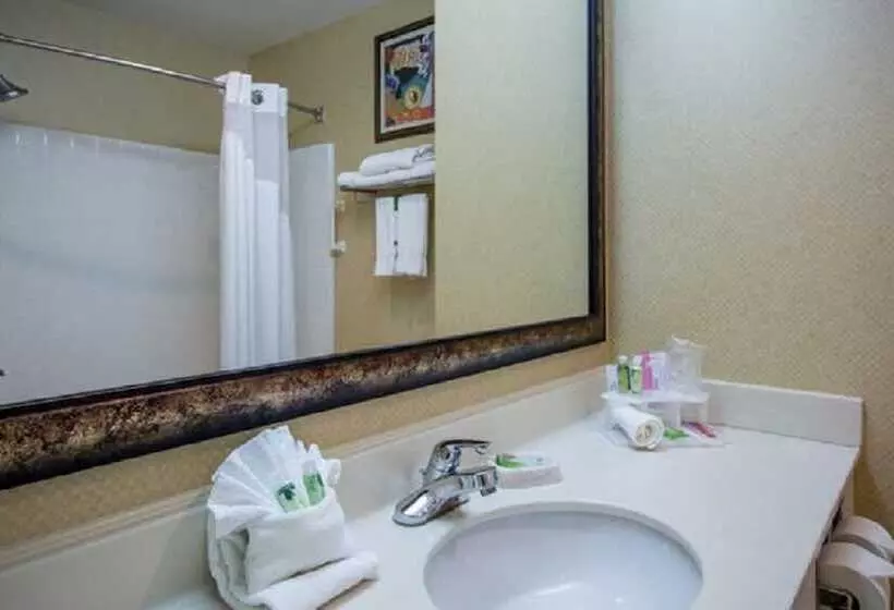 スタンダードルーム, Holiday Inn Express Hotel & Suites Youngstown North Warren/niles, An Ihg
