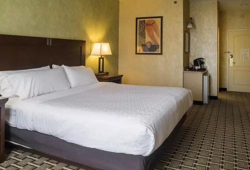 スタンダードルーム, Holiday Inn Express Hotel & Suites Youngstown North Warren/niles, An Ihg