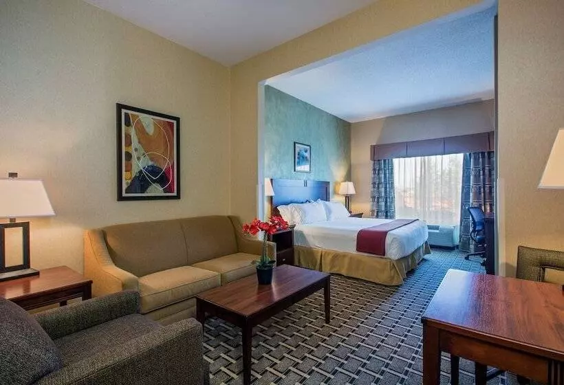 スイート, Holiday Inn Express Hotel & Suites Youngstown North Warren/niles, An Ihg