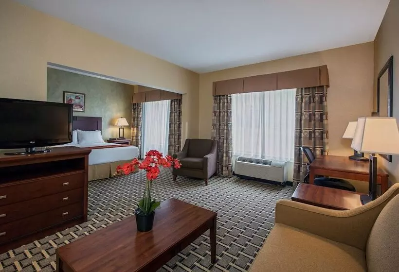 スイート, Holiday Inn Express Hotel & Suites Youngstown North Warren/niles, An Ihg