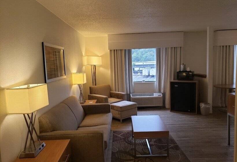 جناح, Holiday Inn Express Hotel Pittsburgh North/harmarville, An Ihg