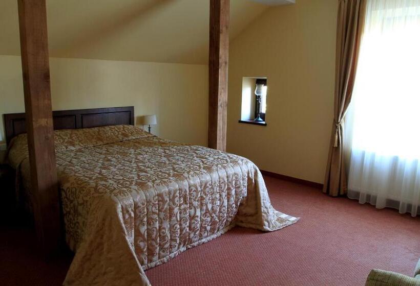 اتاق استاندارد یک نفره, Grafo Zubovo Hotel & Spa