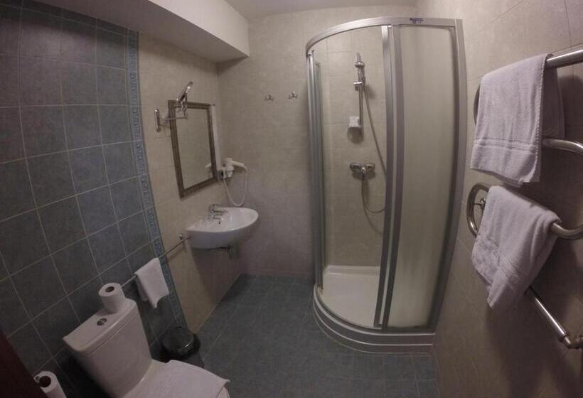 اتاق استاندارد, Grafo Zubovo Hotel & Spa