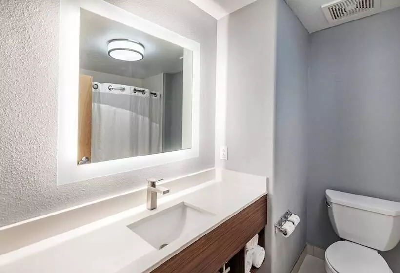 スイート, Holiday Inn Express Hotel & Suites Austin Ne Hutto, An Ihg