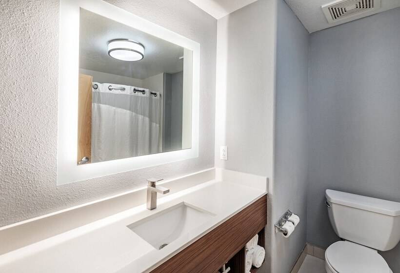 适合残疾人士使用的套间, Holiday Inn Express Hotel & Suites Austin Ne Hutto, An Ihg