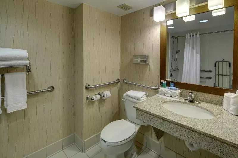 キングサイズベッドのスタンダードルーム, Holiday Inn Express Hotel & Suites Emporia, An Ihg