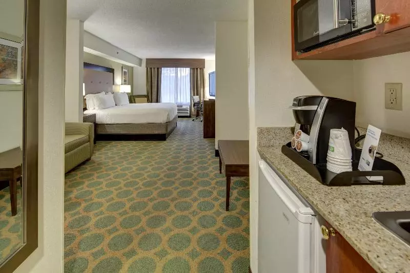 キングサイズベッドのスイートルーム, Holiday Inn Express Hotel & Suites Emporia, An Ihg