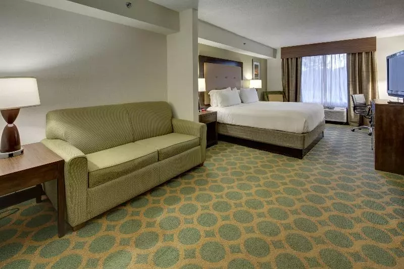 キングサイズベッドのスイートルーム, Holiday Inn Express Hotel & Suites Emporia, An Ihg