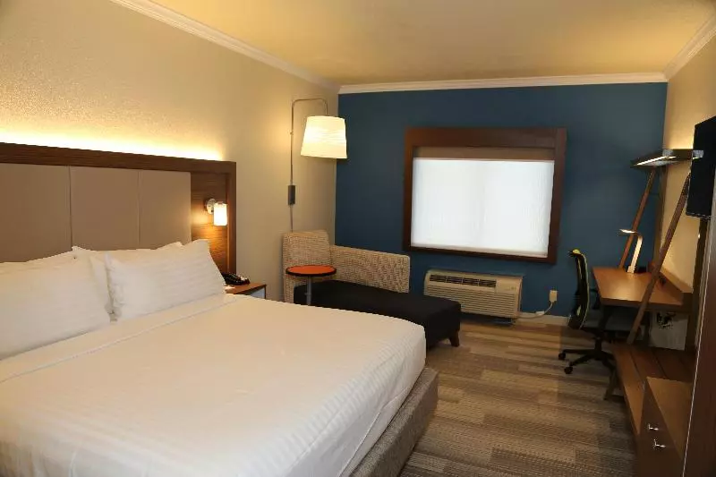 キングサイズベッドのスタンダードルーム, Holiday Inn Express Hotel & Suites Greenville, An Ihg