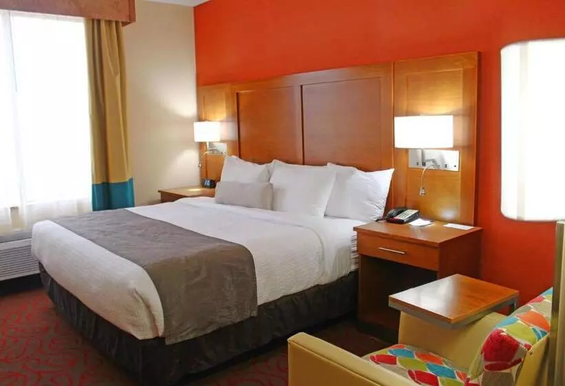 身障者適用キングサイズベッドルーム, Best Western Cannon A.f.b