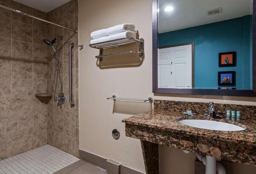 غرفة قياسية سرير كينج لذوى الإحتياجات الخاصة, Best Western Cannon A.f.b