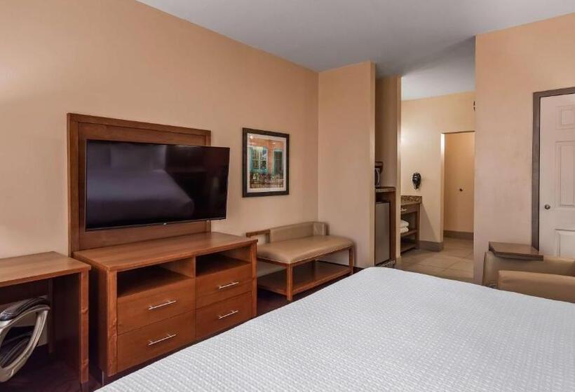 جناح لذوى الاحتياجات الخاصة, Best Western Cannon A.f.b