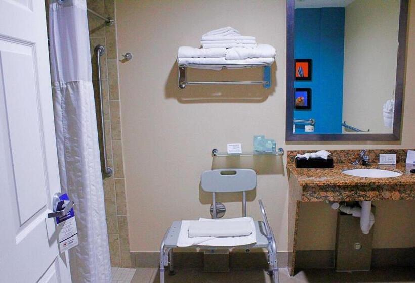 جناح لذوى الاحتياجات الخاصة, Best Western Cannon A.f.b